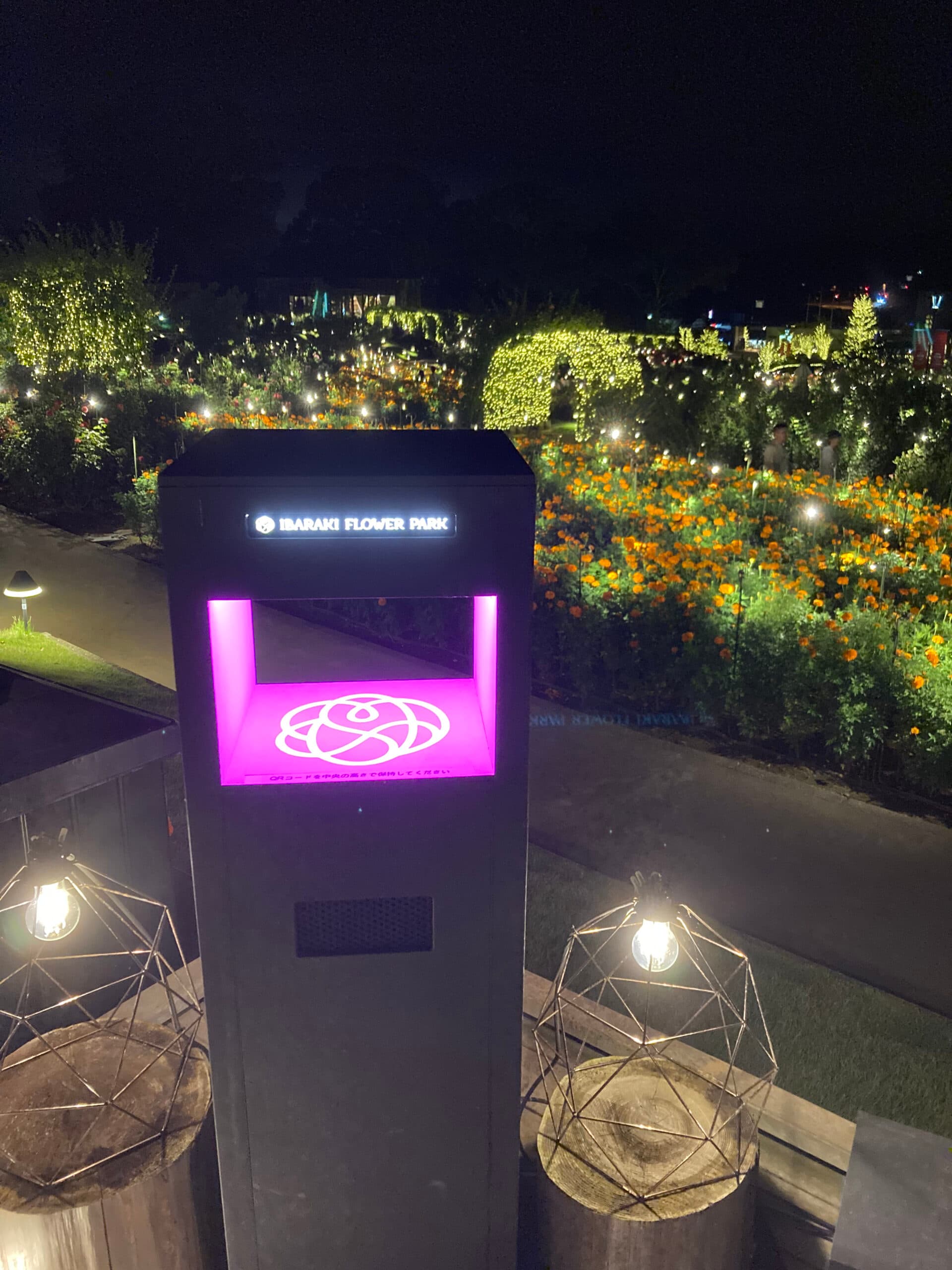 Moonlight Rose Garden 2022 - 3