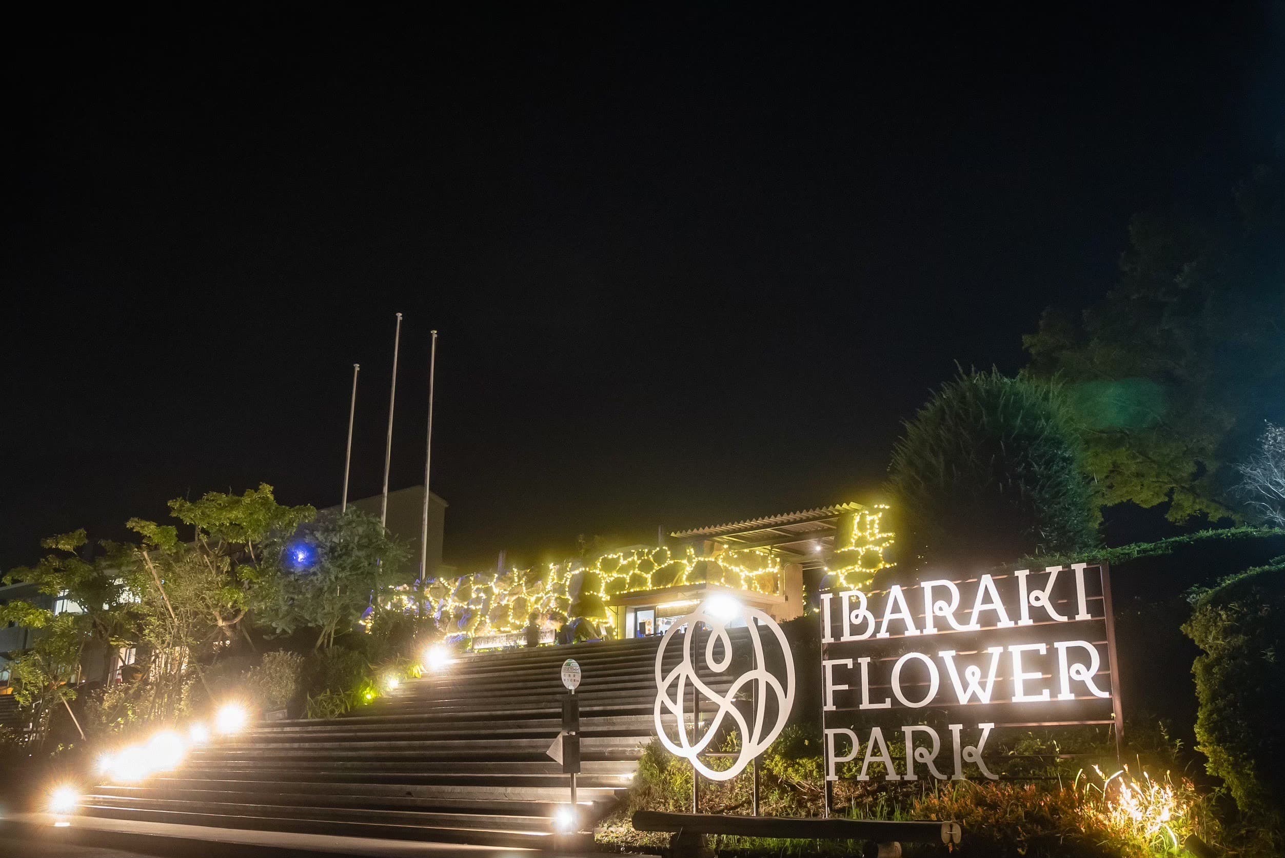 Moonlight Rose Garden 2022 - 1